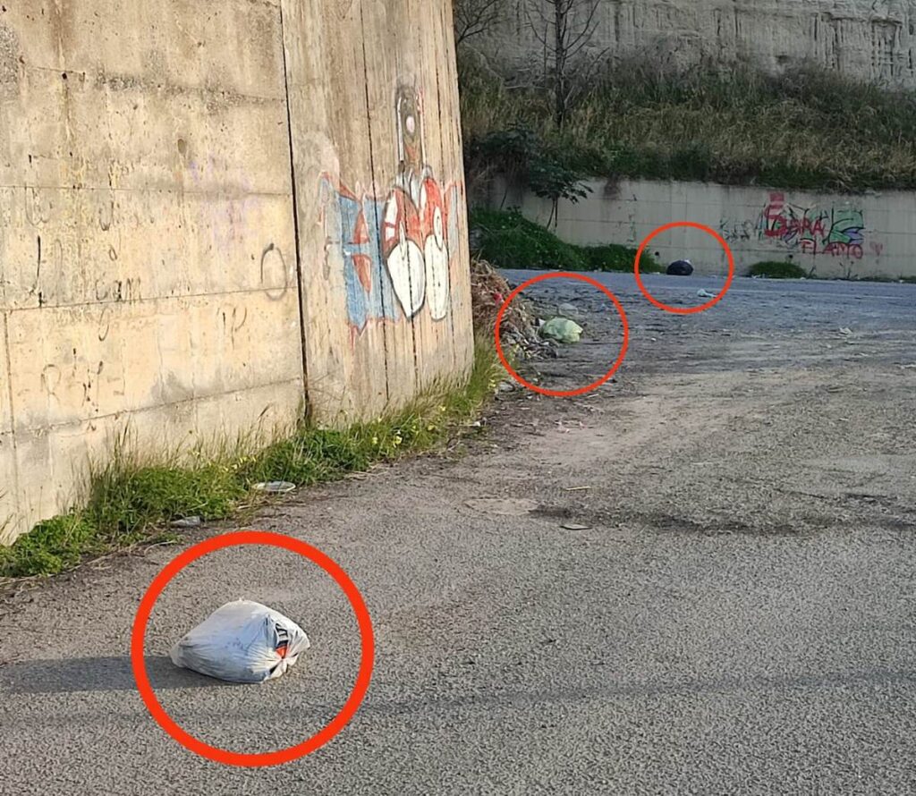 Buste di immonidizia al Parco Longhi Bovetto dopo pulizia