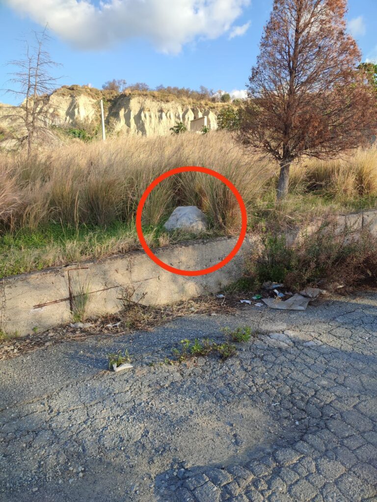 Buste di immonidizia al Parco Longhi Bovetto dopo pulizia