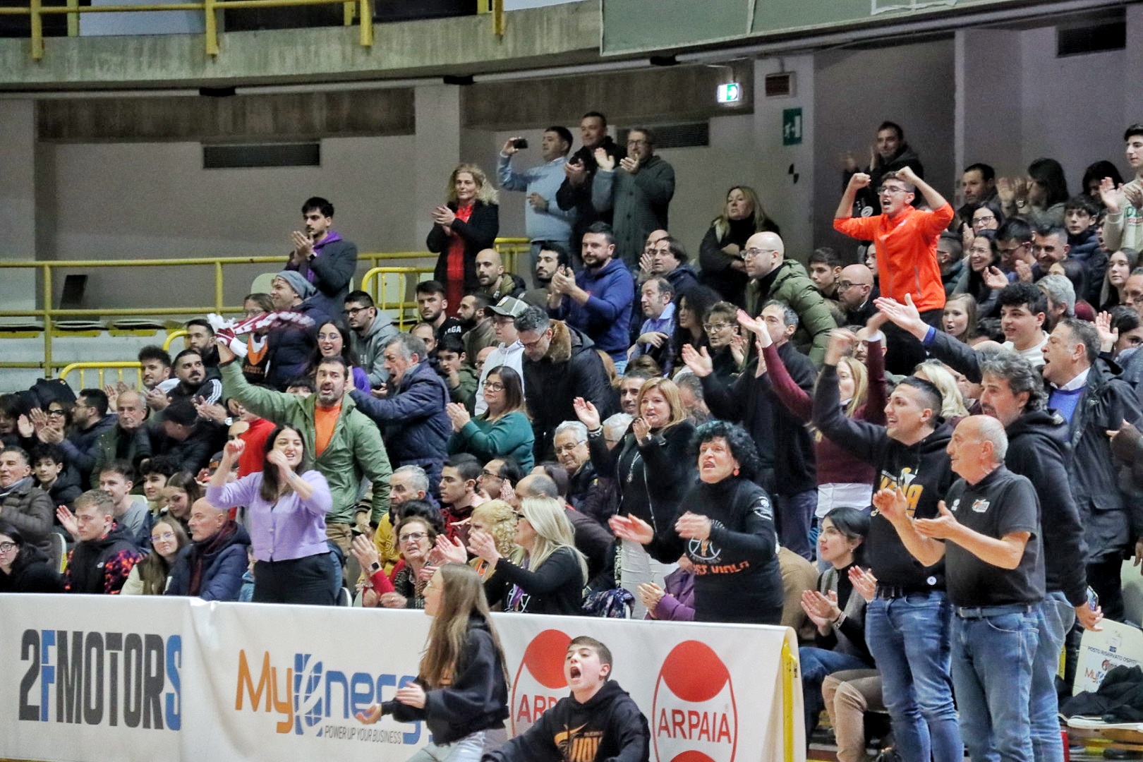 Tifosi Myenergy Viola