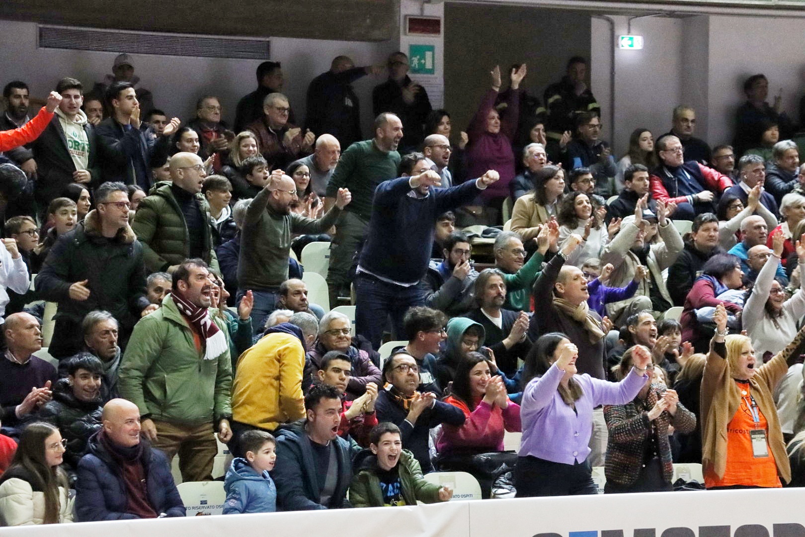 Tifosi Myenergy Viola