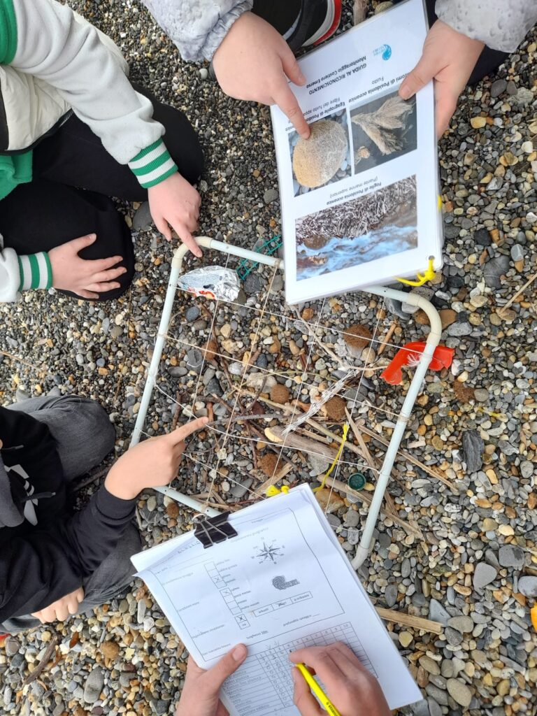 Pulizia spiagge