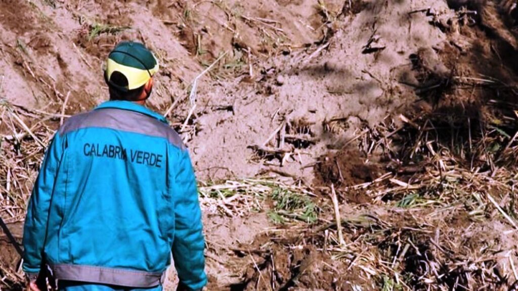 operai calabria verde