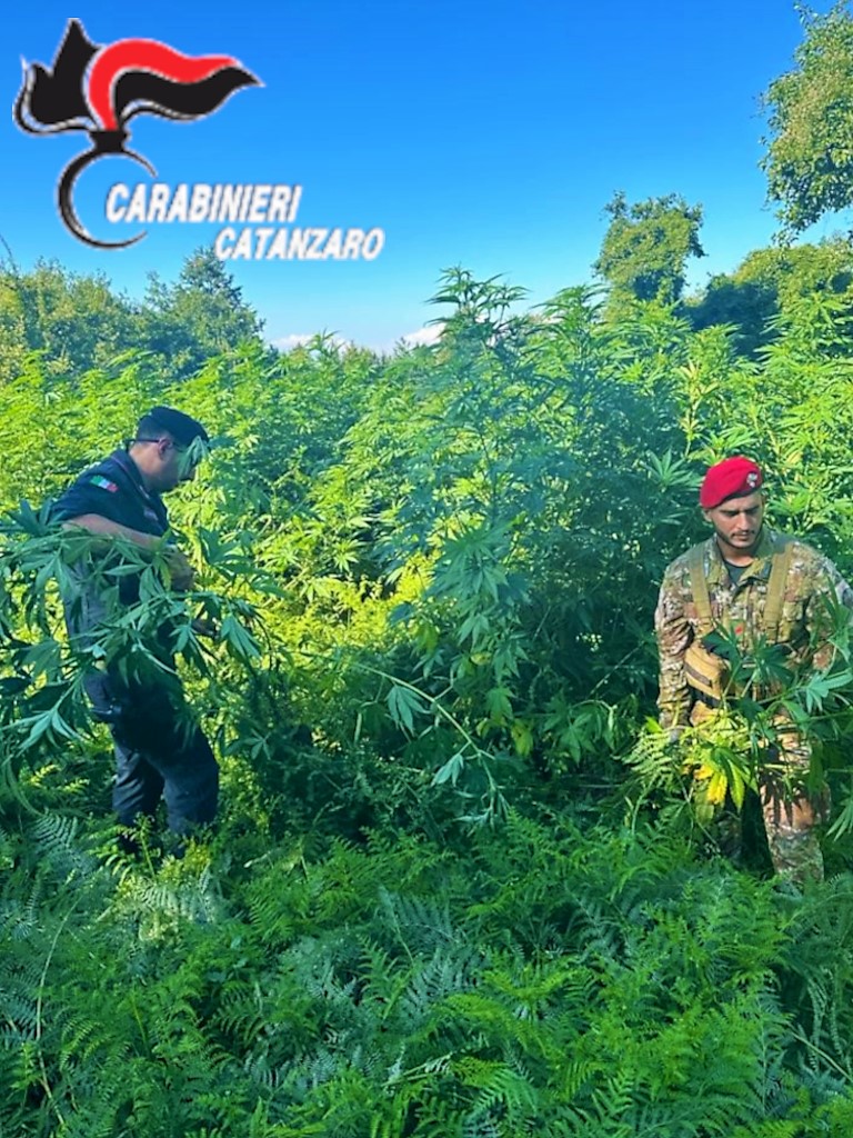 arresti per droga