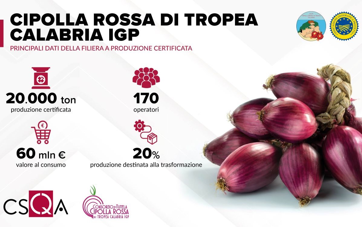 Infografica – Cipolla Rossa di Tropea IGP