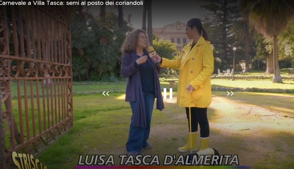TROPEA-CARNEVALE striscia la notizia