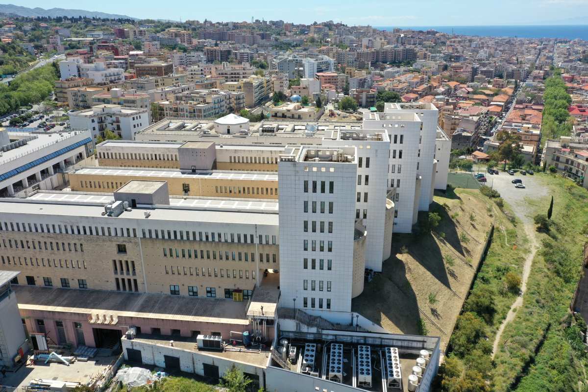 Università Mediterranea