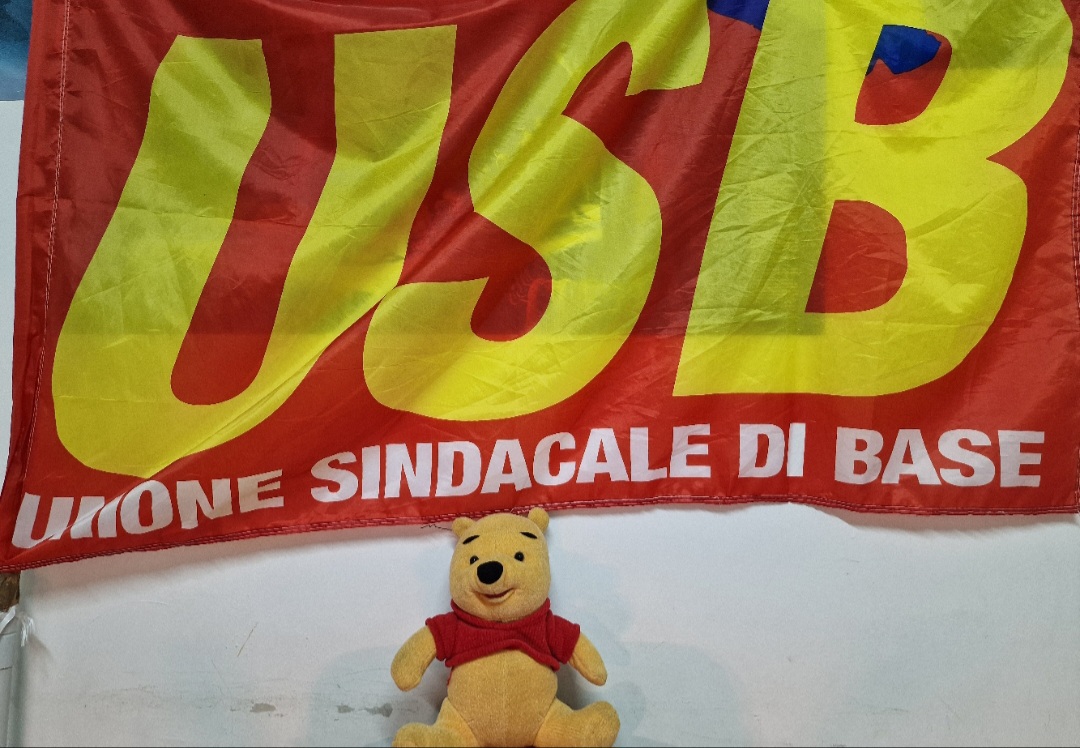 Usb Calabria orsacchiotto meloni