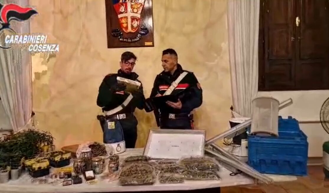 carabinieri cosenza marijuana