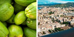 cedro reggio calabria