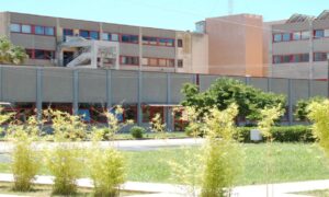 fondazione terina lamezia terme
