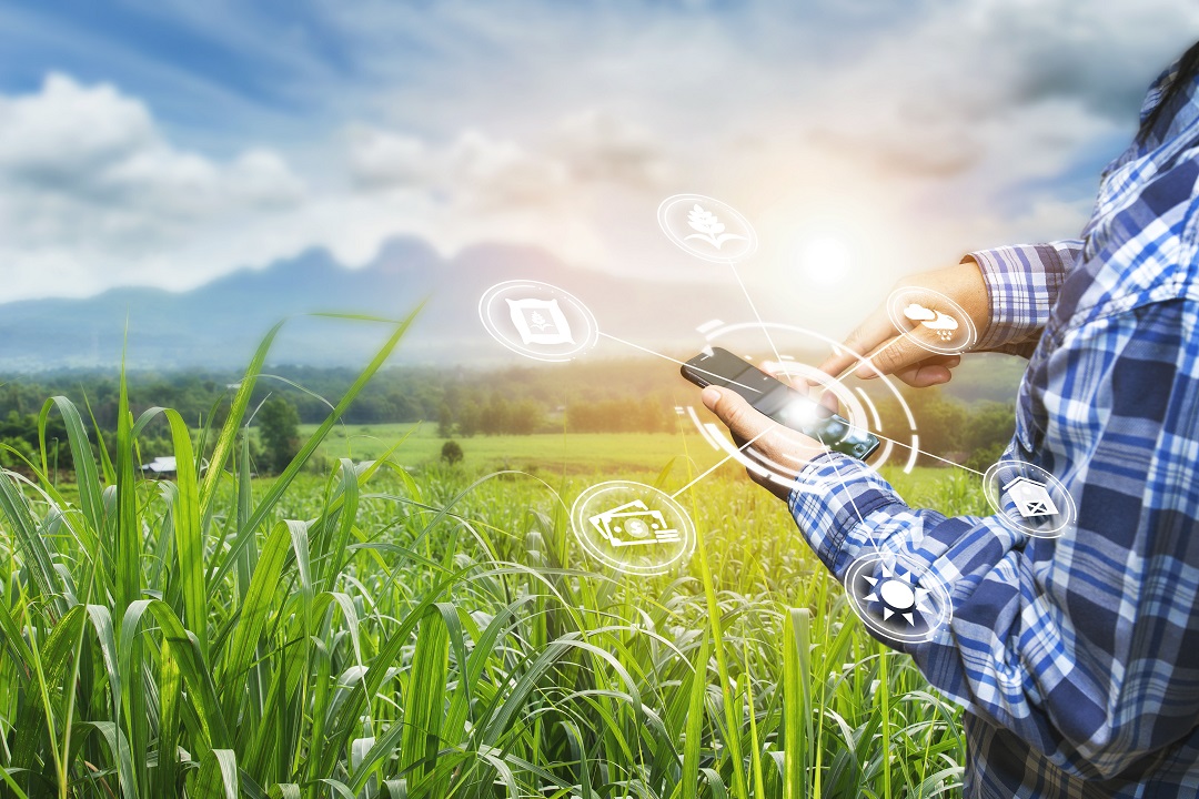 innovazione in agricoltura