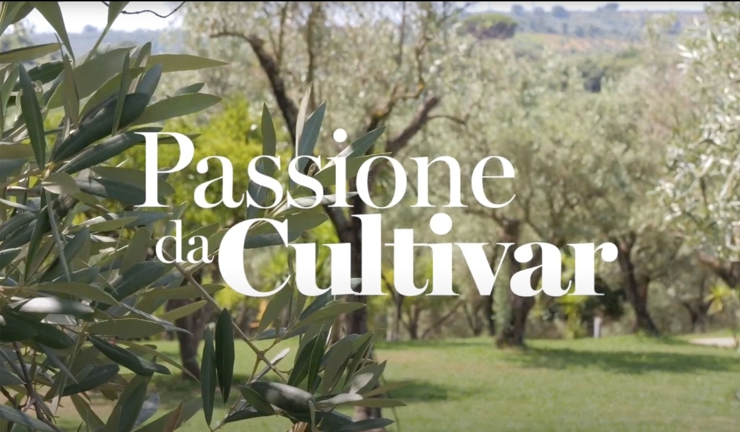 passione da cultivar