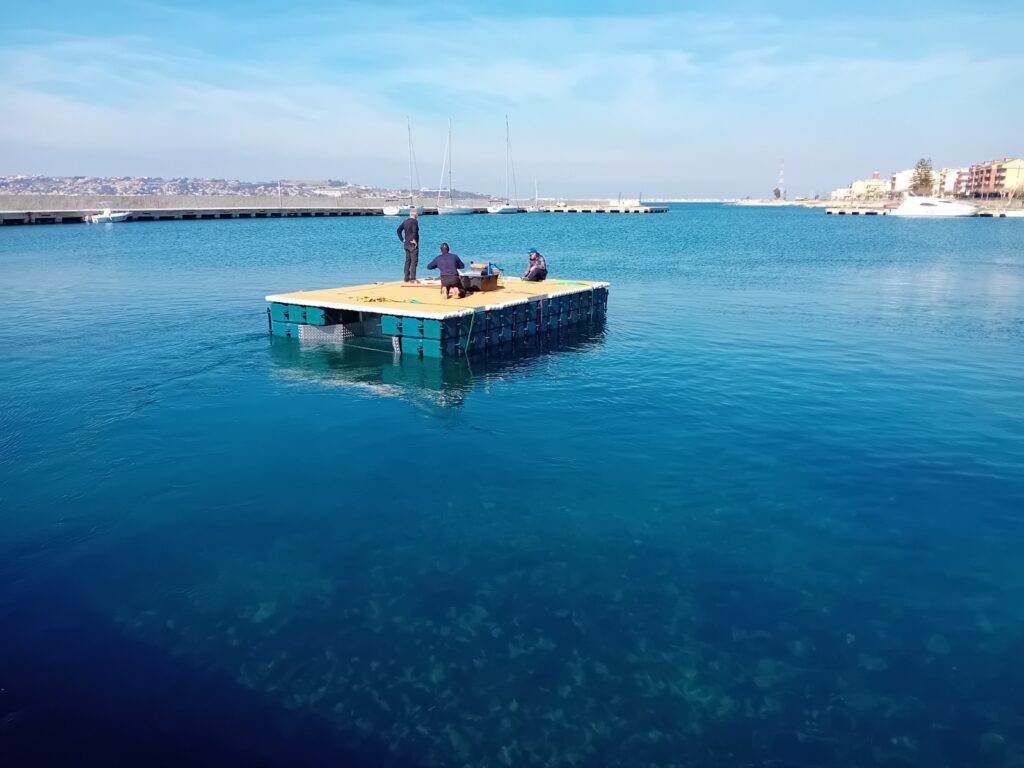 plastica in mare villa san giovanni