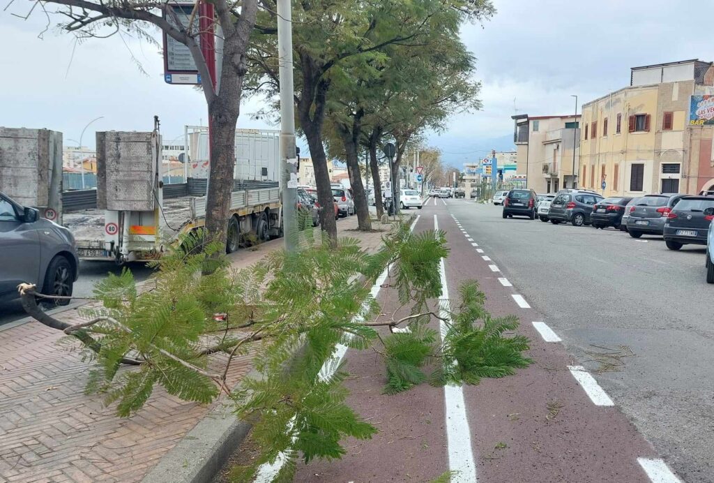 ramo pista ciclabile calopinace