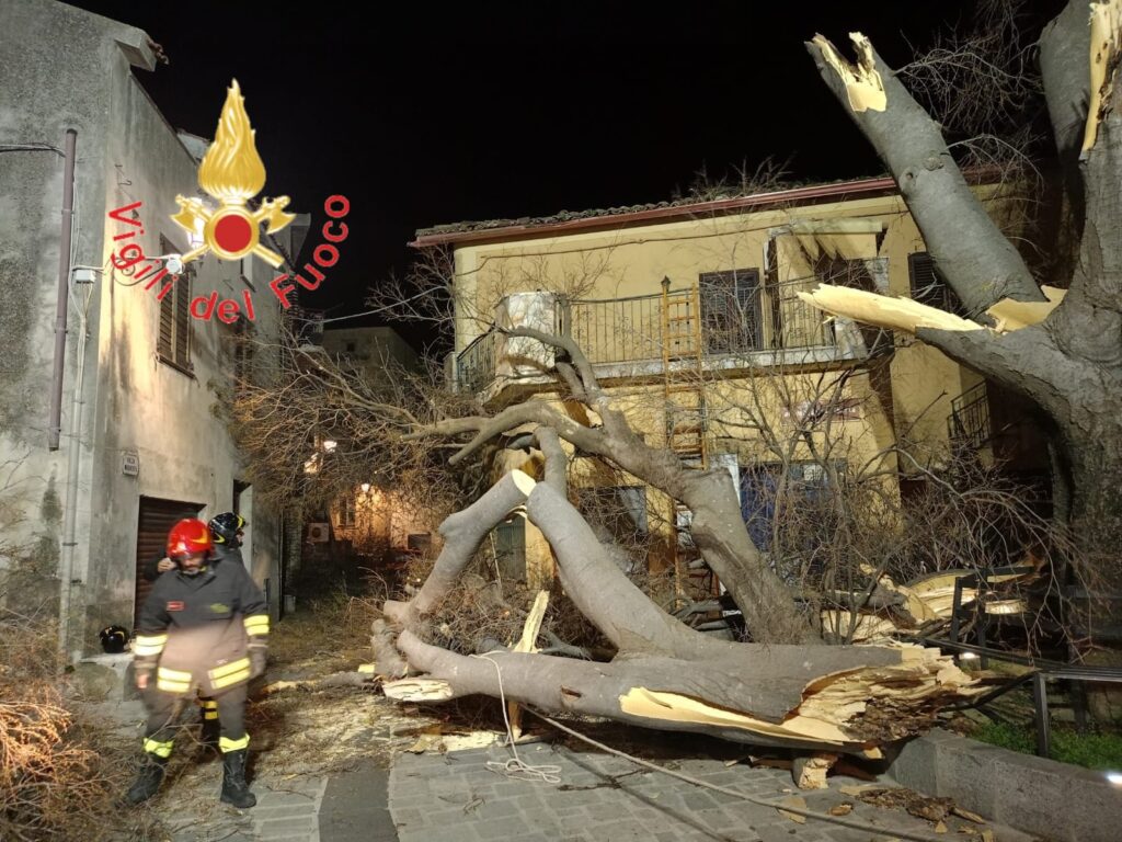 Albero della Libertà belcastro abbattuto maltempo