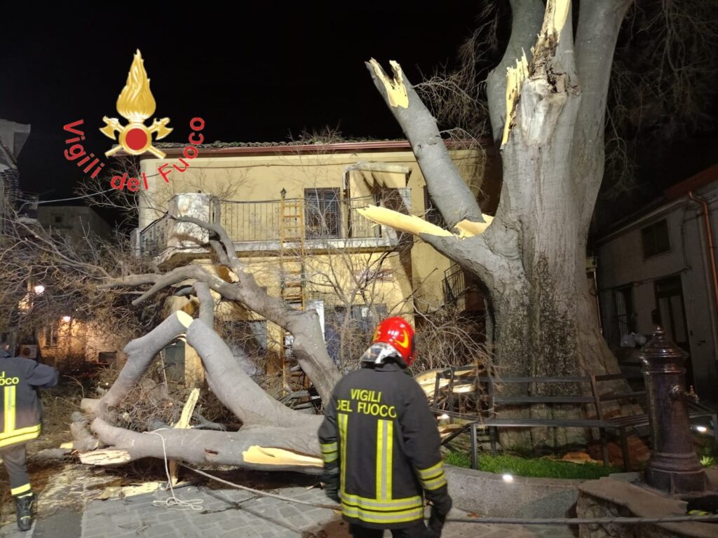 Albero della Libertà belcastro abbattuto maltempo