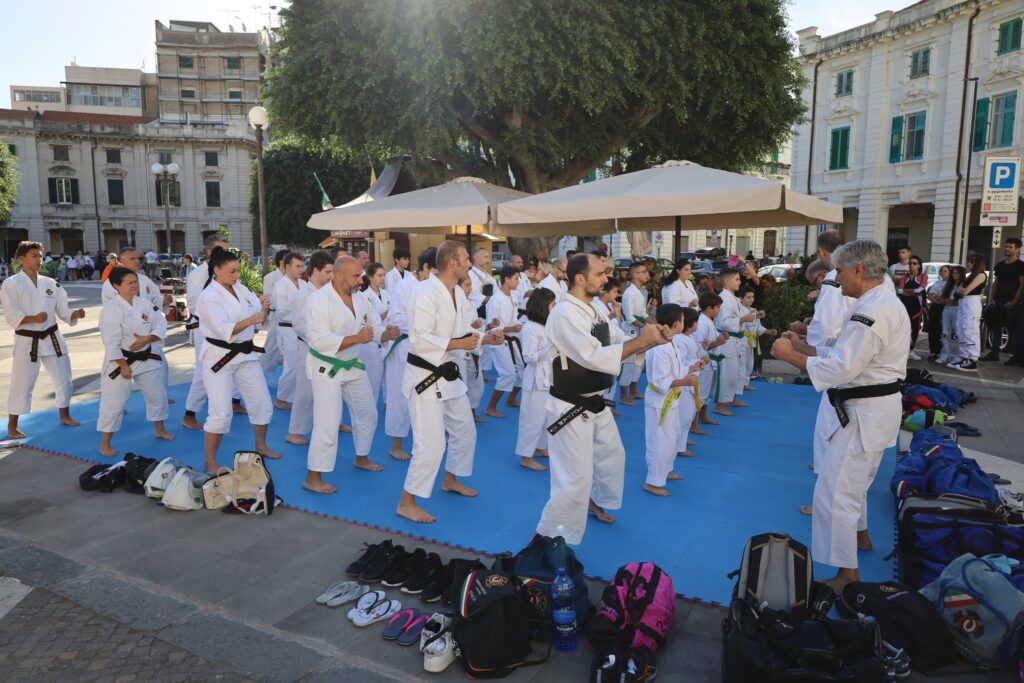 Attività Shorinji Kempo