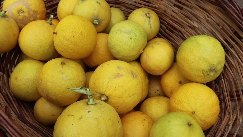 Bergamotto di Reggio Calabria