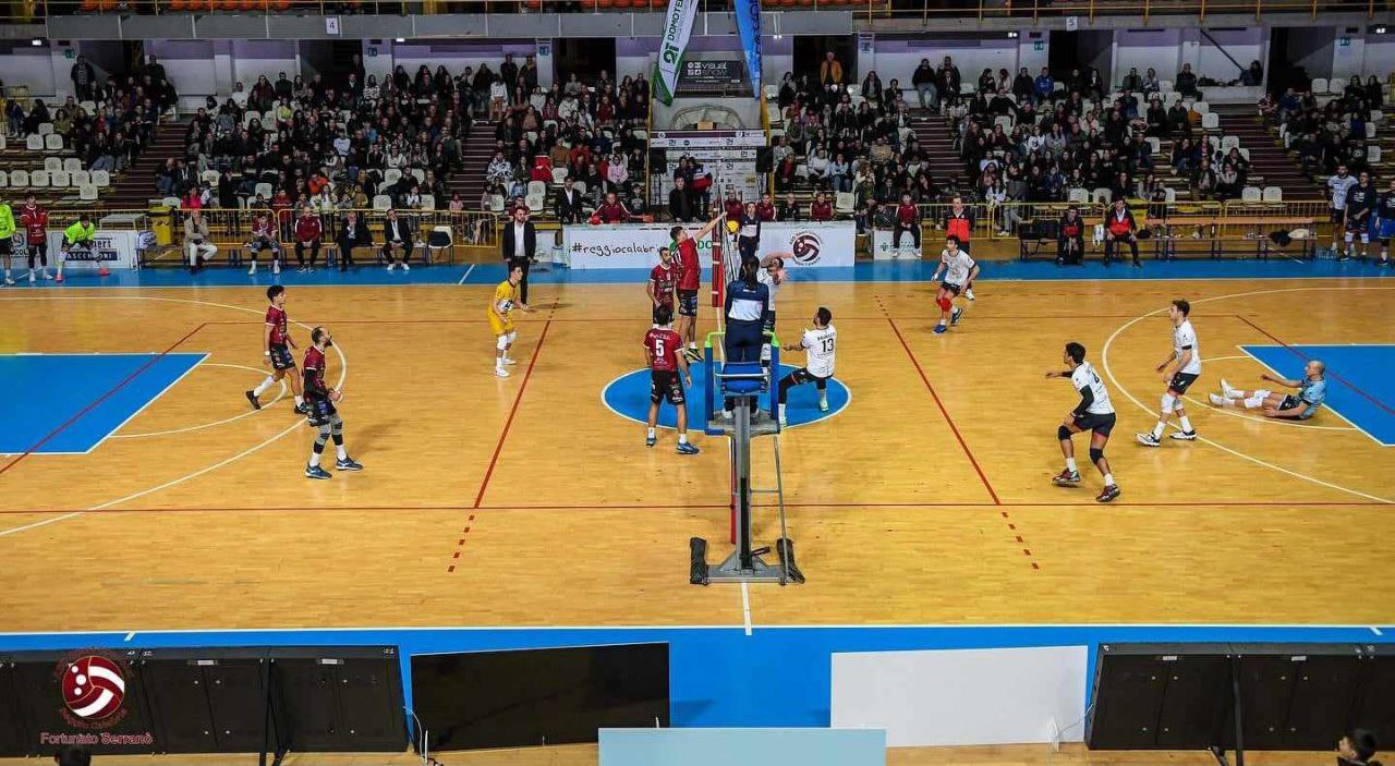 Domotek Volley