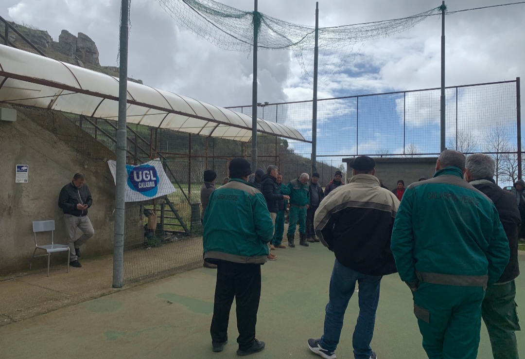 Lavoratori forestali bova 2
