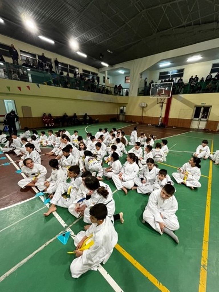 TAEKWONDO