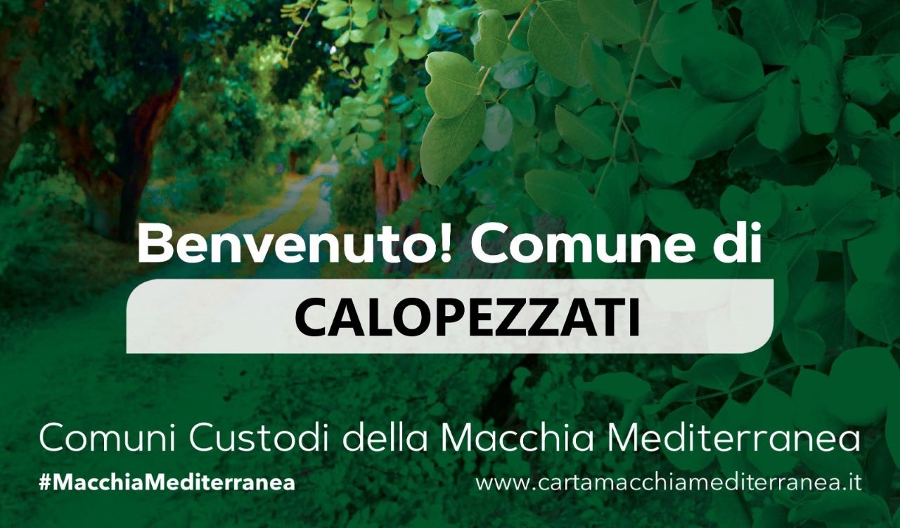 calopezzati macchia mediterranea