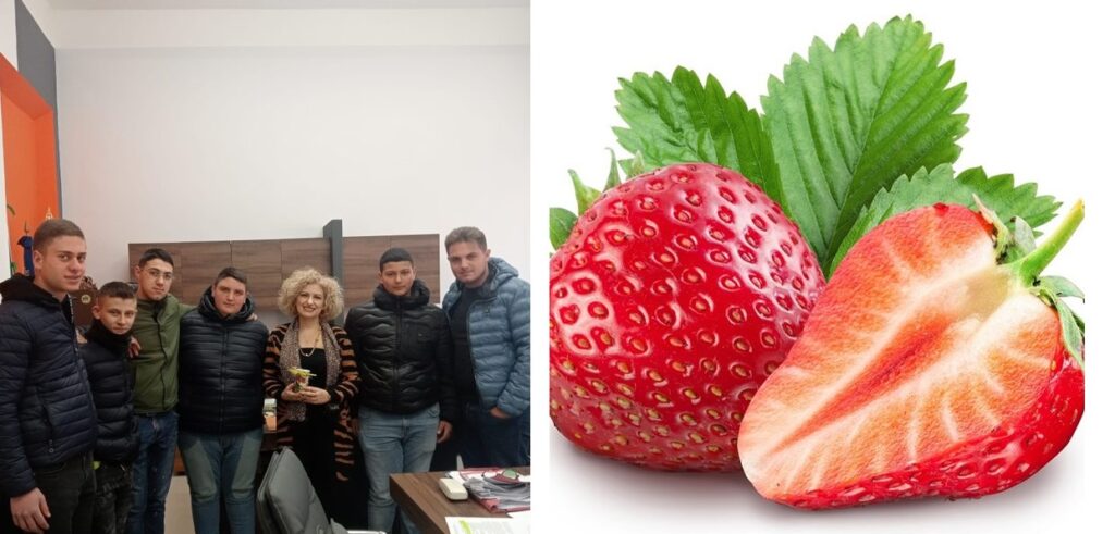 fragola scuola einaudi alvaro palmi