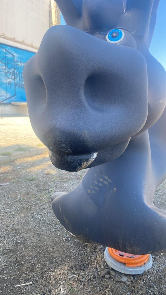 giostre vandalizzate pellaro