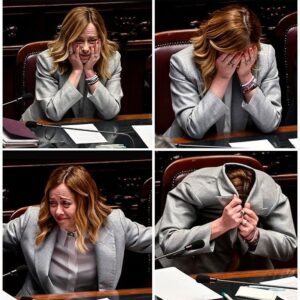 meloni bonelli