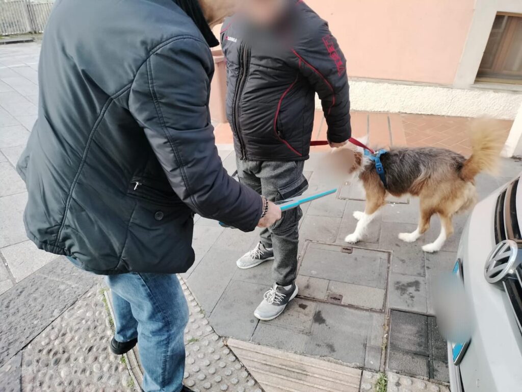 ricordini cani catanzaro
