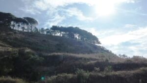 sentiero del tracciolino