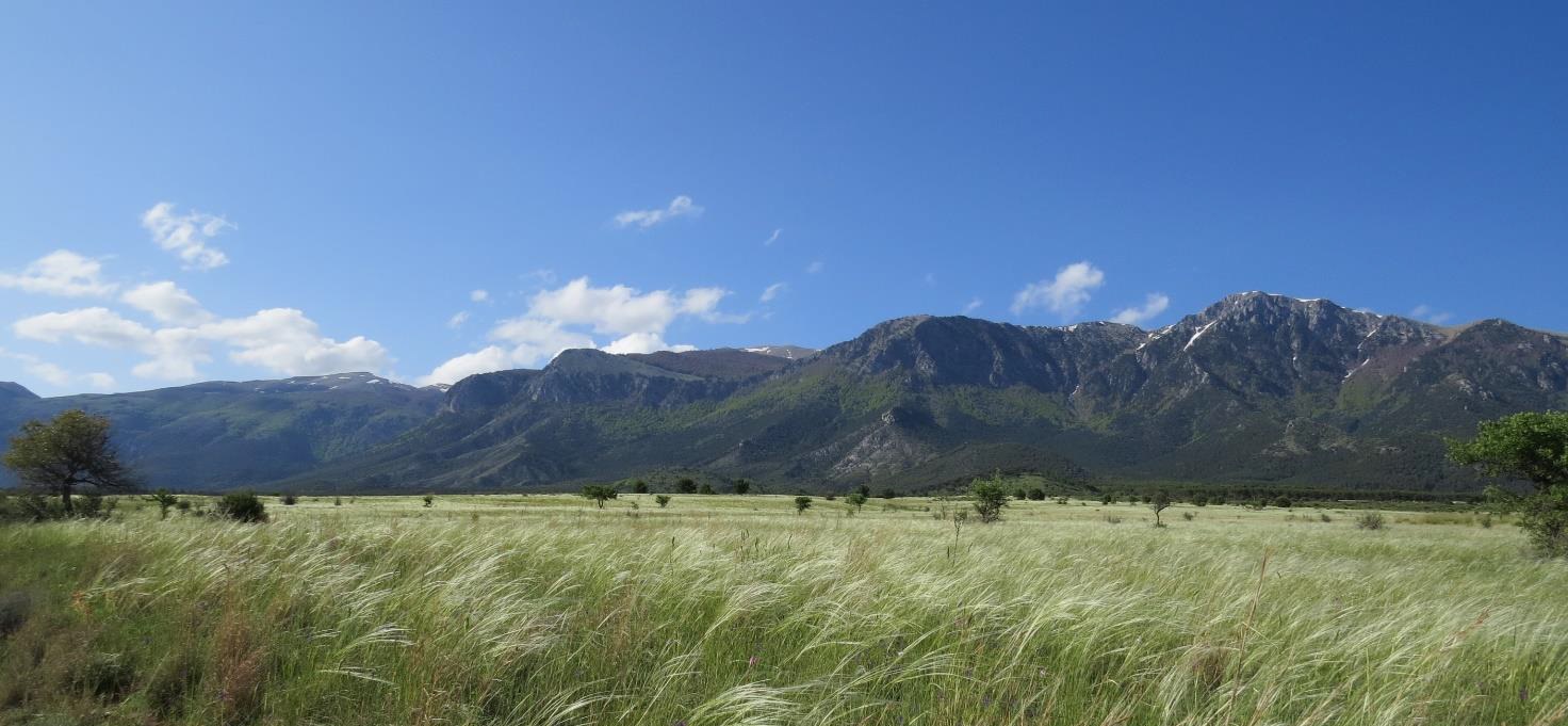 CONCA DEL RE CASTROVILLARI