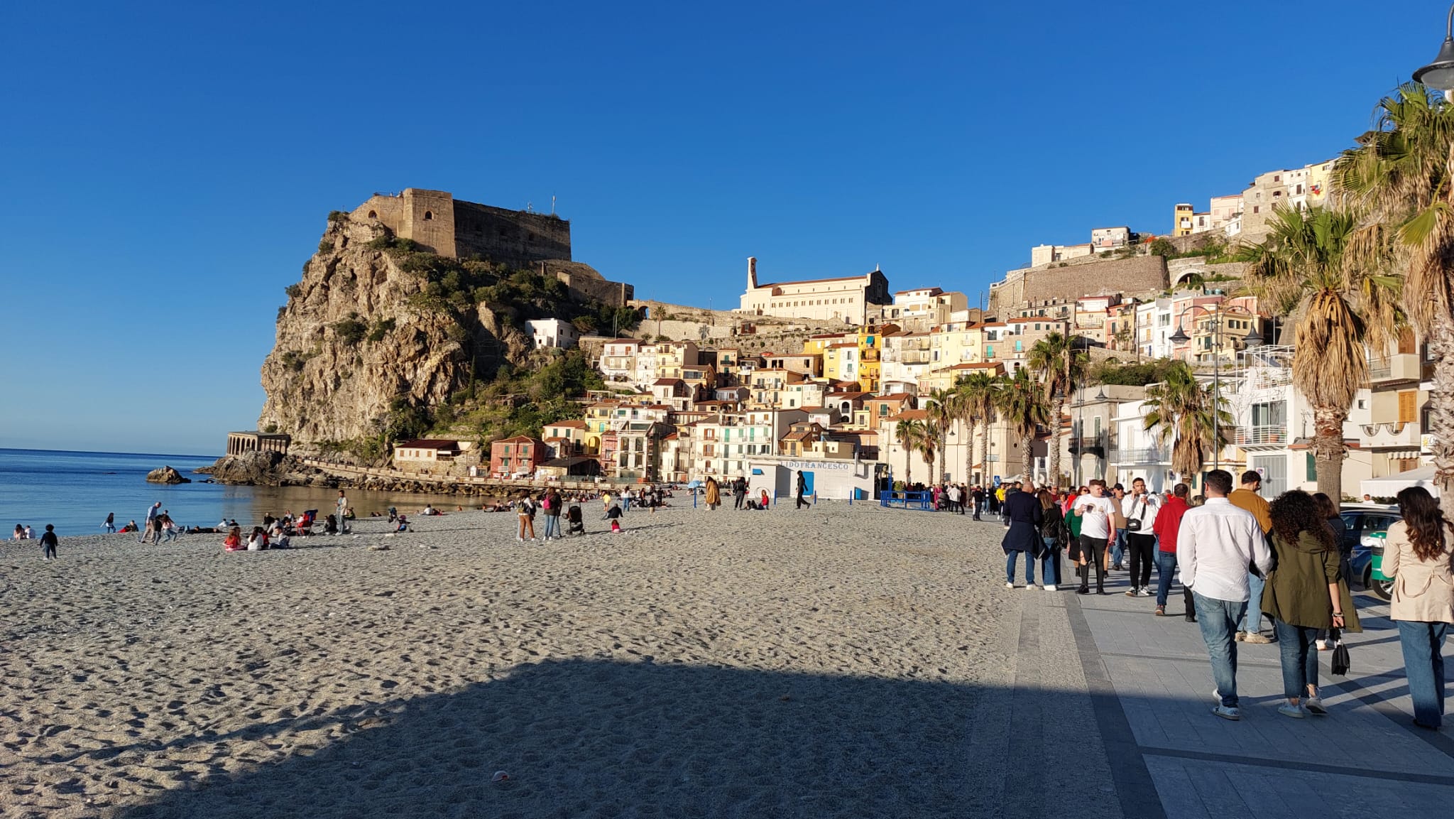 Scilla (2)