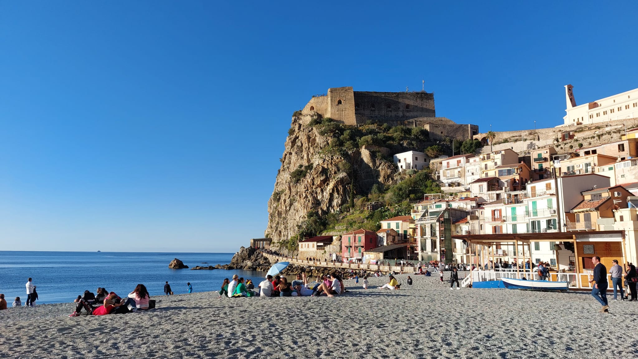 Scilla (3)