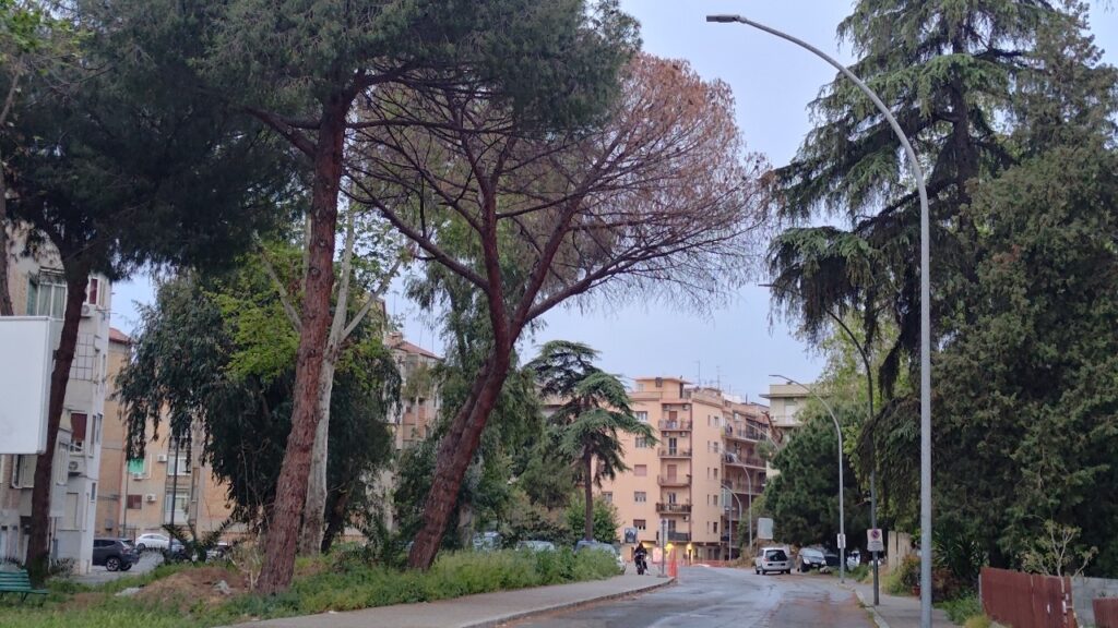 Via San Giuseppe Reggio Calabria