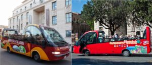 bus turistici reggio calabria e messina