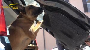 cane fiuta droga guardia di finanza messina