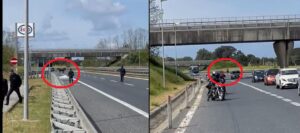 cavallo autostrada