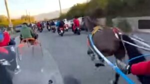 corse clandestine cavalli