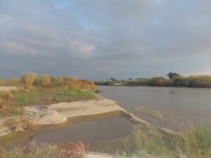foce fiume mesima