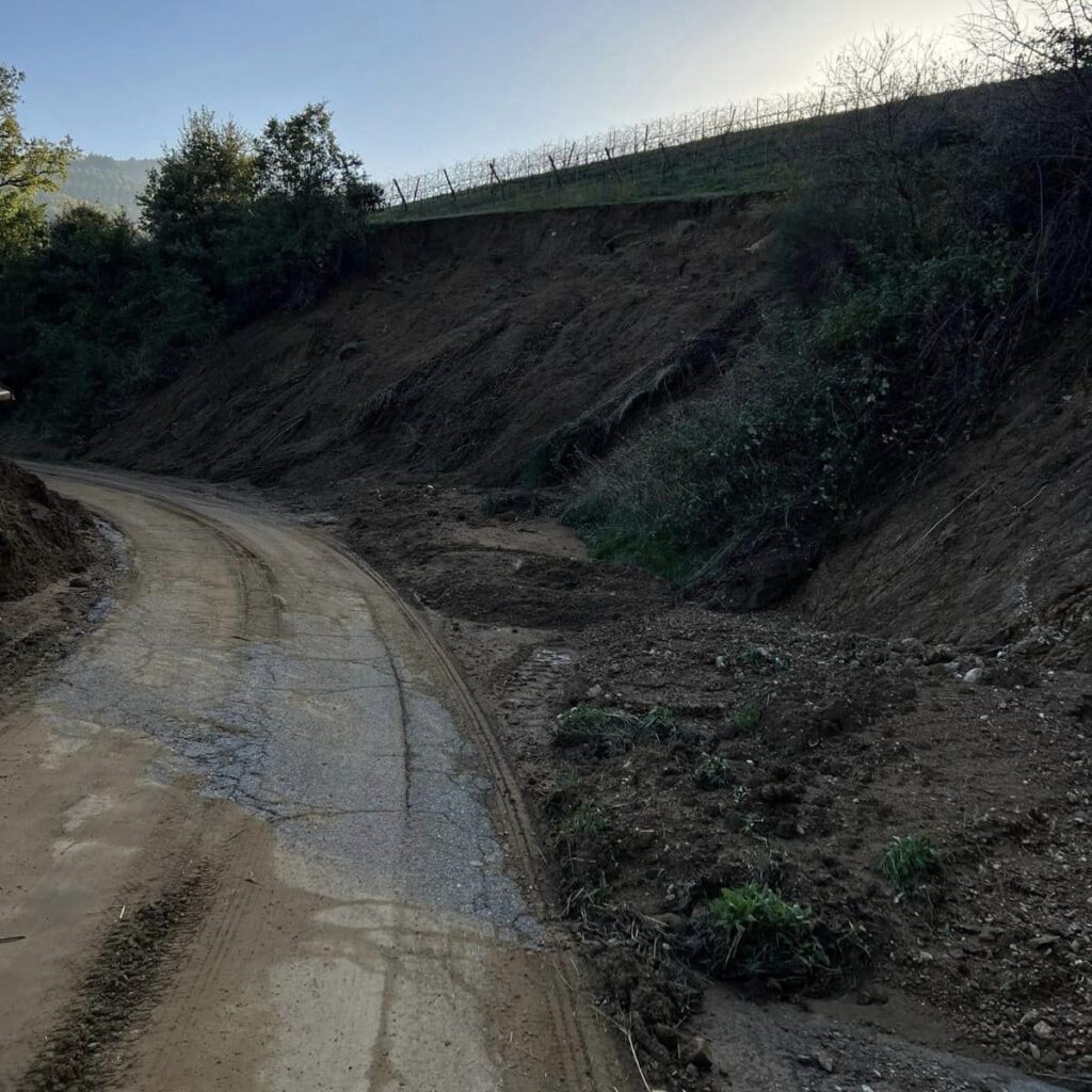 lavori strade provincia di Cosenza