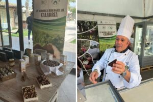 paolo caridi nocciola tonda bio