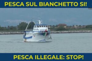 pesca bianchetto corigliano-rossano