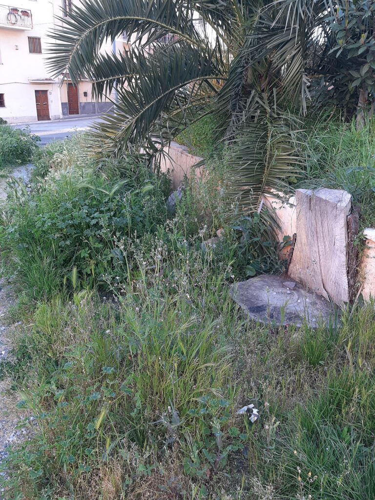 piazza garibaldi sambiase