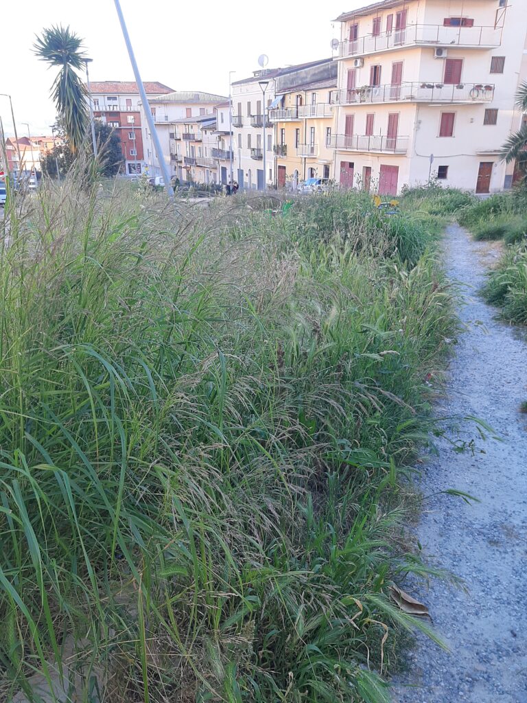piazza garibaldi sambiase