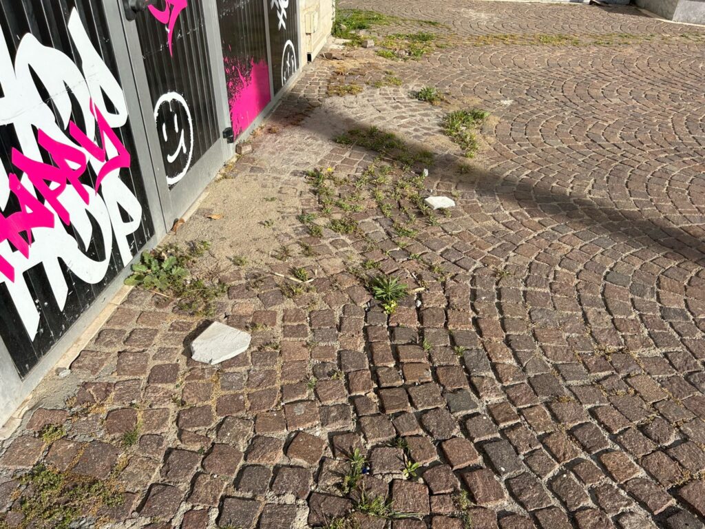 reggio calabria degrado