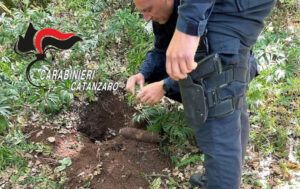 ritrovamento ordigno maida catanzaro