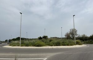rotatoria 106
