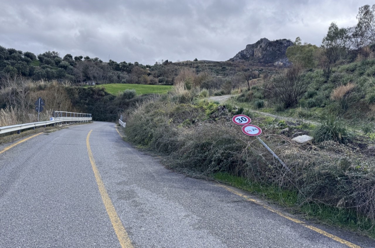 strada provinciale cassano 1