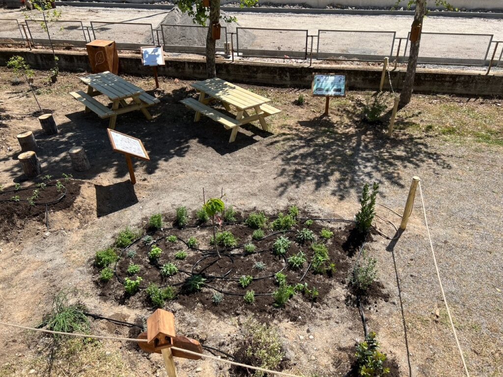 AULA NATURA Corigliano_WWF e P&_amp_G